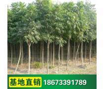 【豪杰紅木紅木荷花鎮(zhèn)紙筆筒筆洗三件套紅木商務(wù)禮品紅木筆筒筆洗鎮(zhèn)紙】海門市豪祥紅木工藝品廠 - 產(chǎn)品庫(kù)